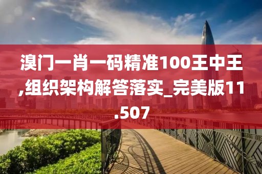溴门一肖一码精准100王中王,组织架构解答落实_完美版11.507