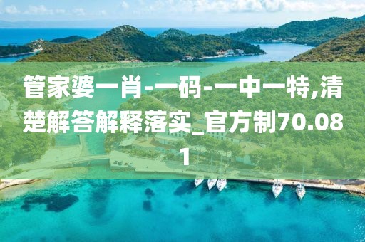 管家婆一肖-一码-一中一特,清楚解答解释落实_官方制70.081