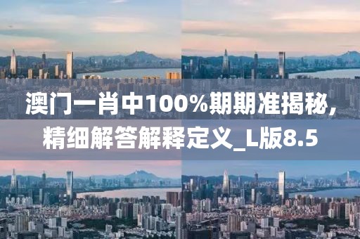 澳门一肖中100%期期准揭秘,精细解答解释定义_L版8.5
