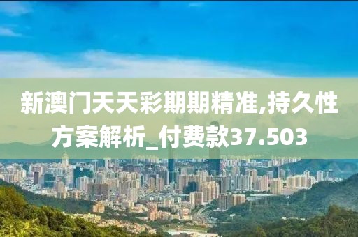 新澳门天天彩期期精准,持久性方案解析_付费款37.503