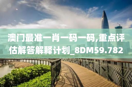 澳门最准一肖一码一码,重点评估解答解释计划_8DM59.782