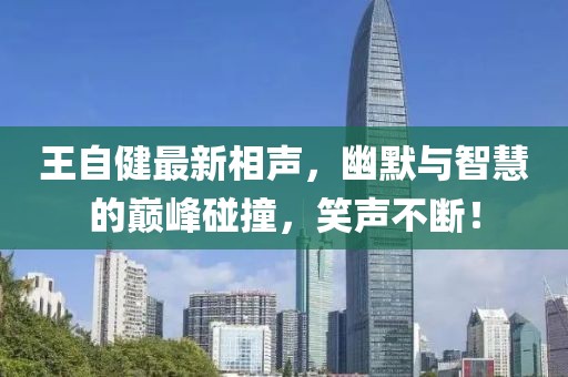 王自健最新相声，幽默与智慧的巅峰碰撞，笑声不断！