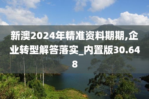 新澳2024年精准资料期期,企业转型解答落实_内置版30.648