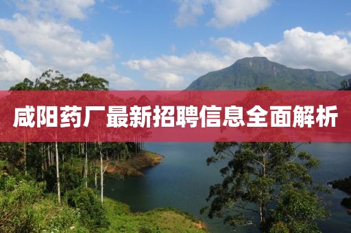 咸阳药厂最新招聘信息全面解析