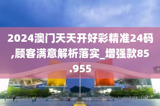 2024澳门天天开好彩精准24码,顾客满意解析落实_增强款85.955