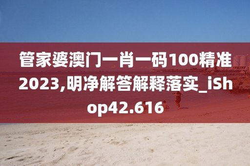 管家婆澳门一肖一码100精准2023,明净解答解释落实_iShop42.616