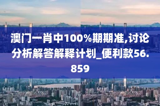澳门一肖中100%期期准,讨论分析解答解释计划_便利款56.859