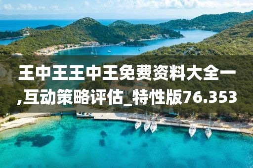 王中王王中王免费资料大全一,互动策略评估_特性版76.353