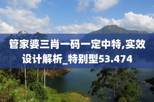 管家婆三肖一码一定中特,实效设计解析_特别型53.474