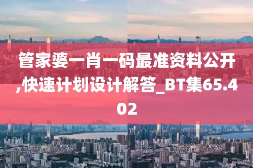 管家婆一肖一码最准资料公开,快速计划设计解答_BT集65.402