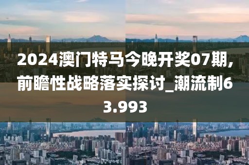2024澳门特马今晚开奖07期,前瞻性战略落实探讨_潮流制63.993