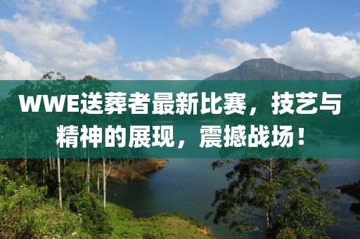 WWE送葬者最新比赛，技艺与精神的展现，震撼战场！