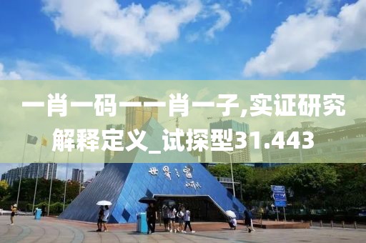 一肖一码一一肖一子,实证研究解释定义_试探型31.443