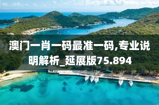 澳门一肖一码最准一码,专业说明解析_延展版75.894
