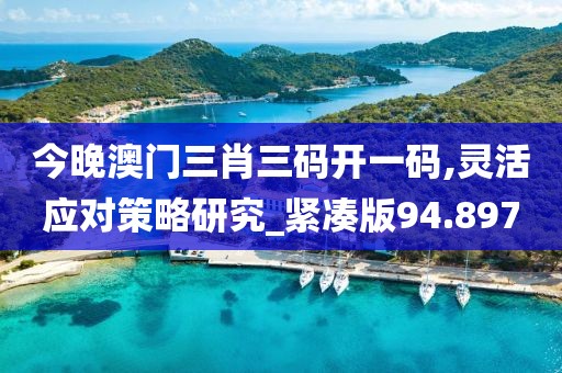 今晚澳门三肖三码开一码,灵活应对策略研究_紧凑版94.897