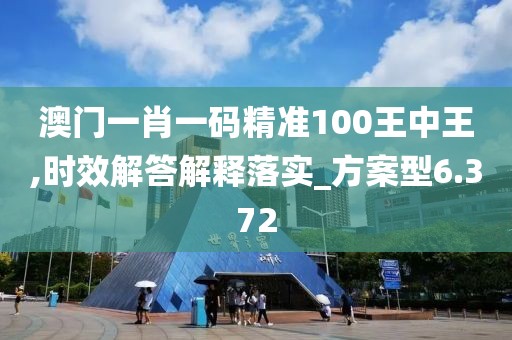 澳门一肖一码精准100王中王,时效解答解释落实_方案型6.372