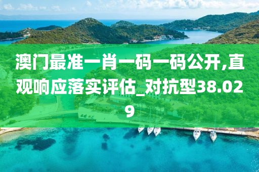 澳门最准一肖一码一码公开,直观响应落实评估_对抗型38.029