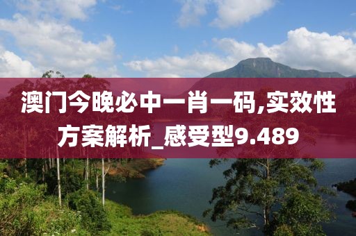 澳门今晚必中一肖一码,实效性方案解析_感受型9.489
