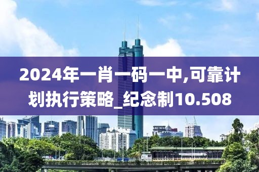 2024年一肖一码一中,可靠计划执行策略_纪念制10.508