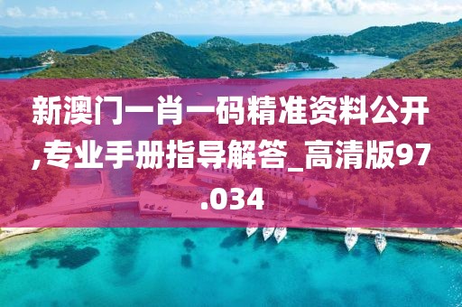 新澳门一肖一码精准资料公开,专业手册指导解答_高清版97.034