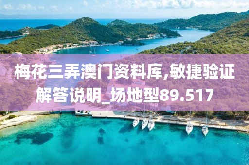 梅花三弄澳门资料库,敏捷验证解答说明_场地型89.517
