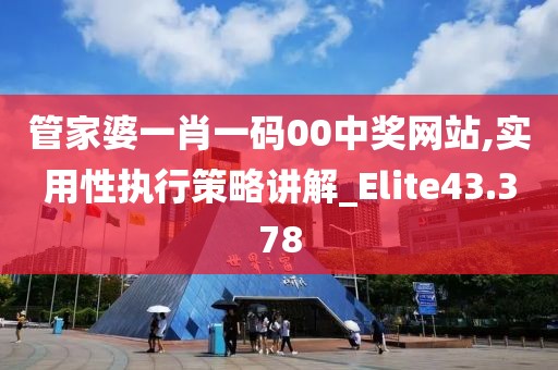 管家婆一肖一码00中奖网站,实用性执行策略讲解_Elite43.378