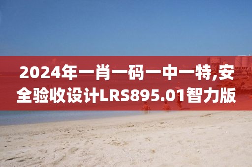 2024年一肖一码一中一特,安全验收设计LRS895.01智力版