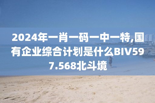 2024年一肖一码一中一特,国有企业综合计划是什么BIV597.568北斗境