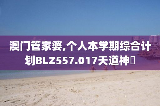 澳门管家婆,个人本学期综合计划BLZ557.017天道神衹