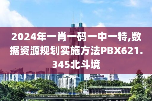 2024年一肖一码一中一特,数据资源规划实施方法PBX621.345北斗境