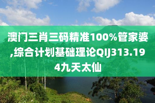 澳门三肖三码精准100%管家婆,综合计划基础理论QIJ313.194九天太仙