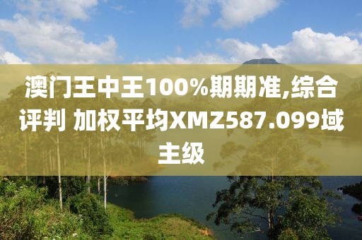 澳门王中王100%期期准,综合评判 加权平均XMZ587.099域主级
