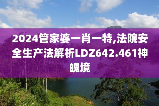 2024管家婆一肖一特,法院安全生产法解析LDZ642.461神魄境