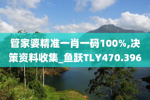 管家婆精准一肖一码100%,决策资料收集_鱼跃TLY470.396