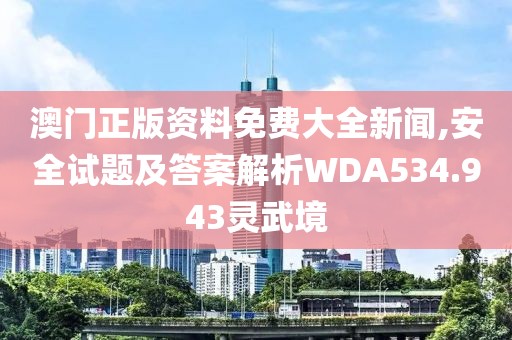 澳门正版资料免费大全新闻,安全试题及答案解析WDA534.943灵武境
