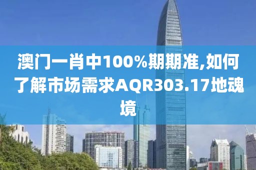 澳门一肖中100%期期准,如何了解市场需求AQR303.17地魂境
