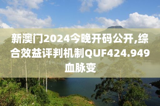 新澳门2024今晚开码公开,综合效益评判机制QUF424.949血脉变