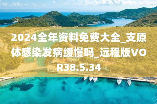 2024全年资料免费大全_支原体感染发病缓慢吗_远程版VOR38.5.34