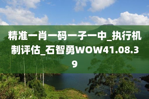 精准一肖一码一子一中_执行机制评估_石智勇WOW41.08.39