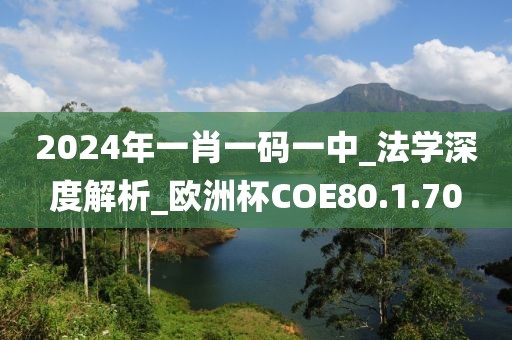 2024年一肖一码一中_法学深度解析_欧洲杯COE80.1.70