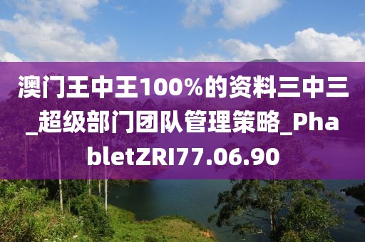 澳门王中王100%的资料三中三_超级部门团队管理策略_PhabletZRI77.06.90