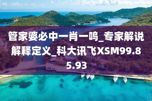 管家婆必中一肖一鸣_专家解说解释定义_科大讯飞XSM99.85.93