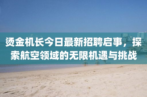 烫金机长今日最新招聘启事，探索航空领域的无限机遇与挑战