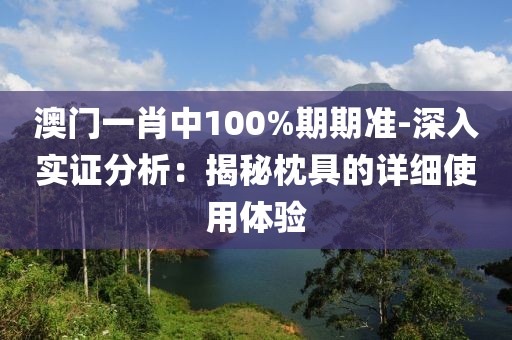 澳门一肖中100%期期准-深入实证分析：揭秘枕具的详细使用体验