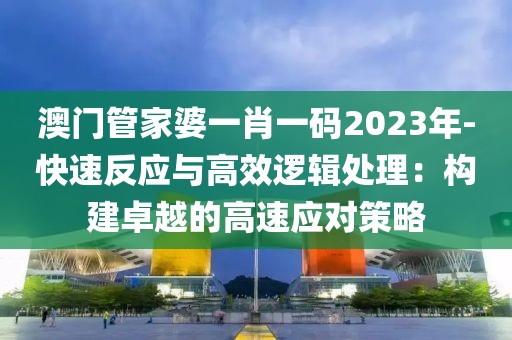 澳门管家婆一肖一码2023年-快速反应与高效逻辑处理：构建卓越的高速应对策略
