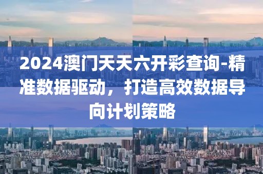 2024澳门天天六开彩查询-精准数据驱动，打造高效数据导向计划策略