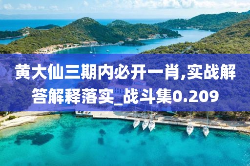 黄大仙三期内必开一肖,实战解答解释落实_战斗集0.209