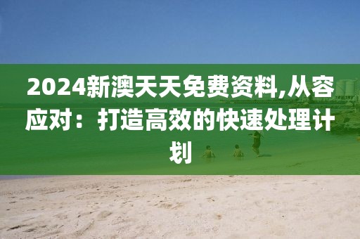 2024新澳天天免费资料,从容应对：打造高效的快速处理计划