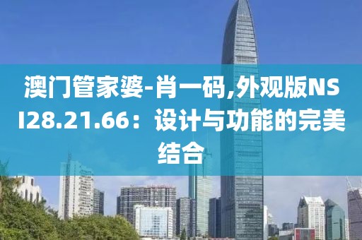 澳门管家婆-肖一码,外观版NSI28.21.66：设计与功能的完美结合