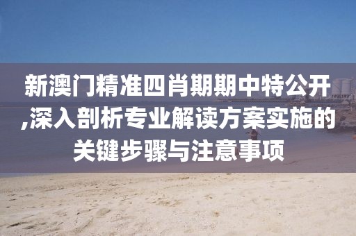 新澳门精准四肖期期中特公开,深入剖析专业解读方案实施的关键步骤与注意事项